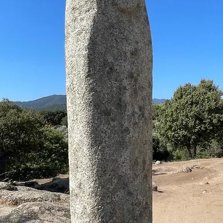 Lägenhet T1 Bis Vue