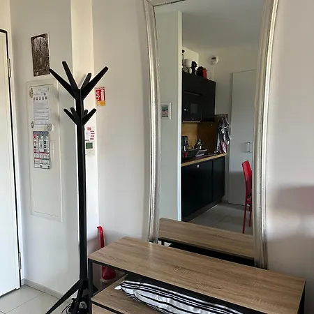 T1 Bis Vue Propriano