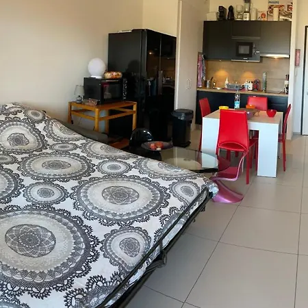 T1 Bis Vue Propriano