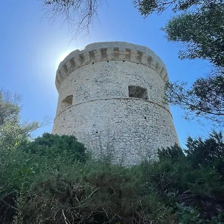 T1 Bis Vue Propriano *
