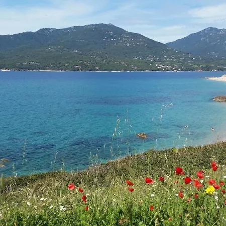 T1 Bis Vue Propriano Propriano (Corsica)