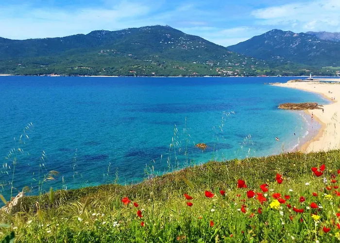 Apartment Studio Vue Mer Propriano - Terrasse Sunset Et Plage A Pied *