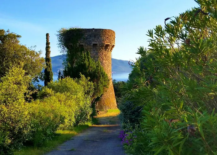 Apartment Studio Vue Mer Propriano - Terrasse Sunset Et Plage A Pied Propriano (Corsica)